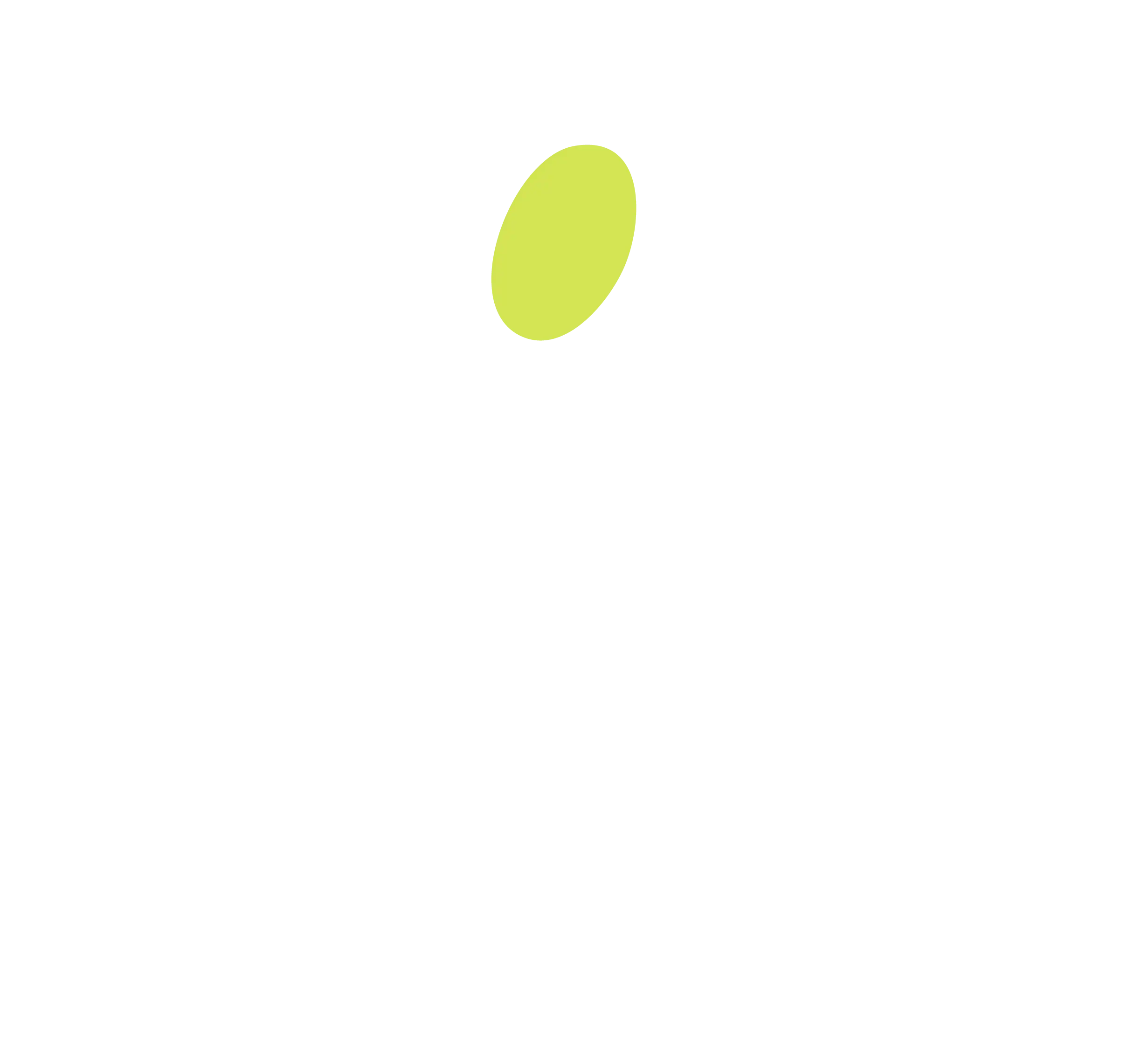 BIT LEGAL
